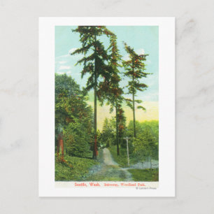 Cartão Postal Vista de estrada no Parque Woodland