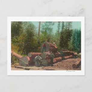 Cartão Postal Vista de Lumberjacks, Cena de RegistroSterling, CA