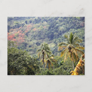 Cartão Postal Vista de montanha, República Dominicana.