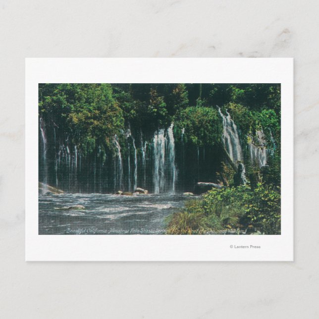 Cartão Postal Vista de Mossbrae FallsShasta Primavera, CA (Frente)