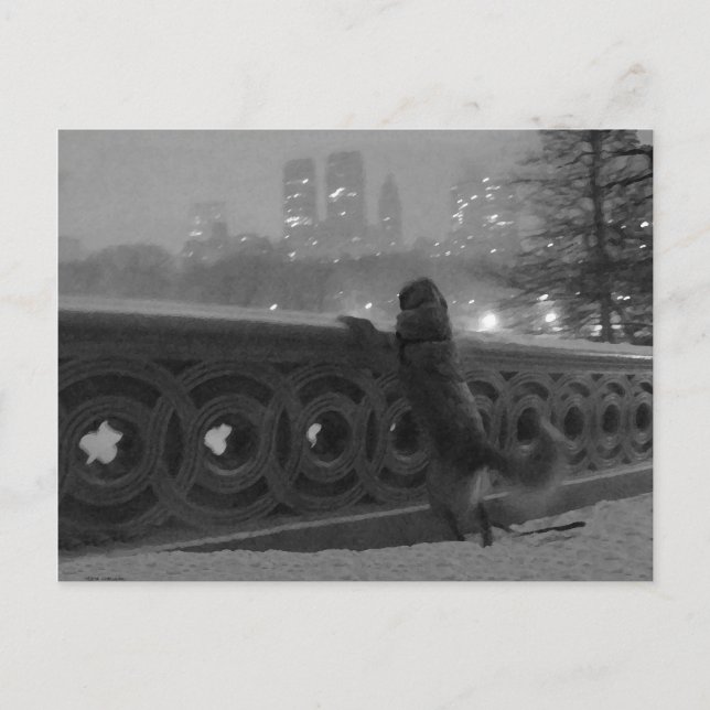 Cartão Postal Vista de Neve da Ponte do Arco (Frente)