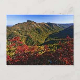 Cartão Postal Vista de outono do Linville Gorge muitas vezes cha