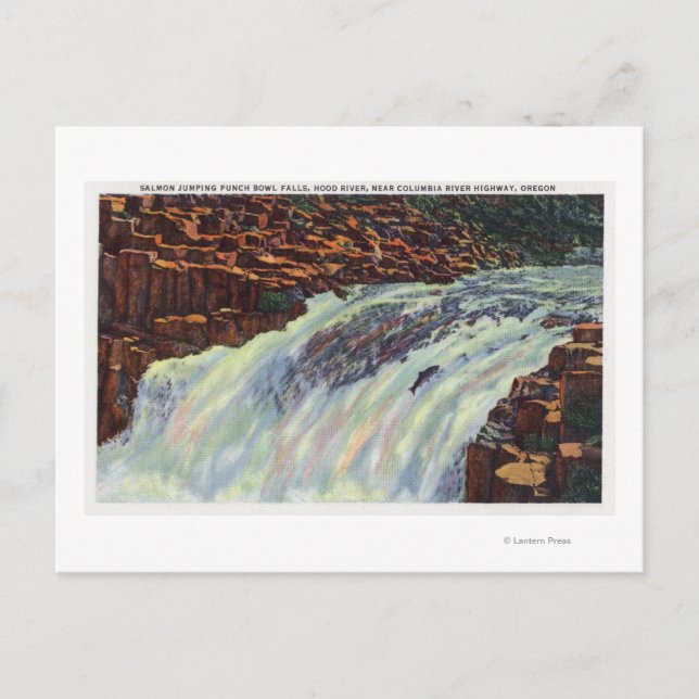 Cartão Postal Vista de Salmão Pulando Bolas de Bolas (Frente)