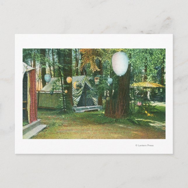 Cartão Postal Vista de Scotts Camp, RedwoodsRussian River, CA (Frente)