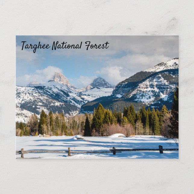 Cartão Postal Vista de Targhee National Forest Teton (Frente)