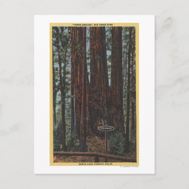 Cartão Postal Vista de "Três Graves" no Parque das Grandes Árvor (Frente)
