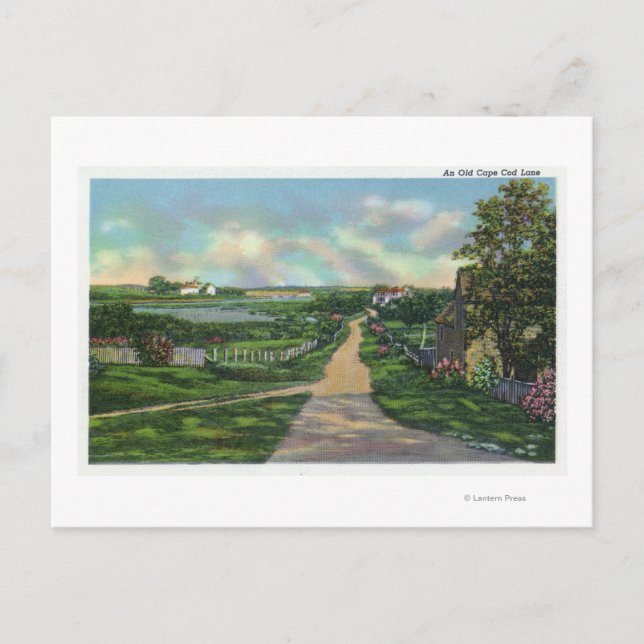 Cartão Postal Vista de um Velho Palangre de Cabo Cod (Frente)