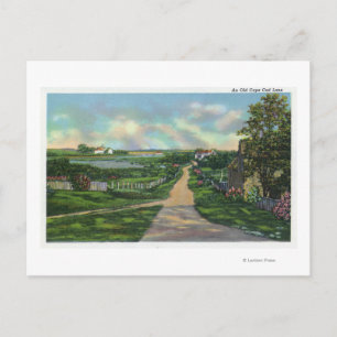 Cartão Postal Vista de um Velho Palangre de Cabo Cod