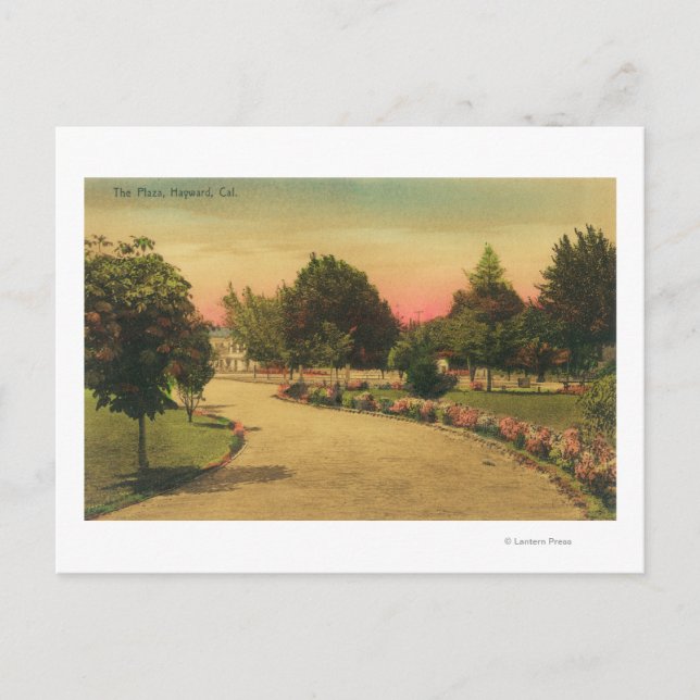 Cartão Postal Vista do City PlazaHayward, CA (Frente)