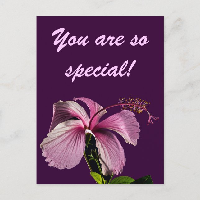 Cartão Postal Vista do Lado da Flor do Hibiscus Rosa (Frente)