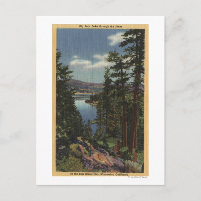 Cartão Postal Vista do Lago através dos Pinheiros # 2 (Frente)