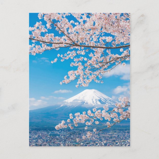 Cartão Postal Vista do Monte Fuji com os Blossomas de Cereja (Frente)