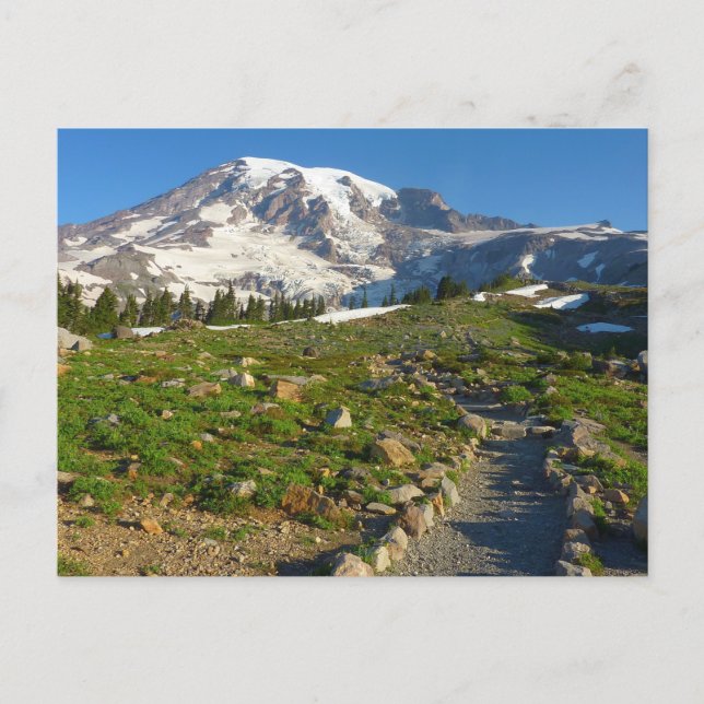 Cartão Postal Vista do Mount Rainier Skyline Trail (Frente)