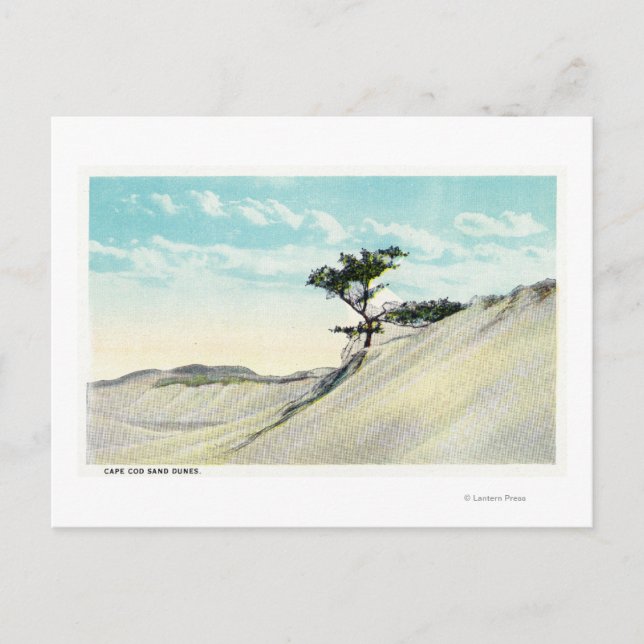 Cartão Postal Vista do Navio a vapor Dorothy Bradford (Frente)