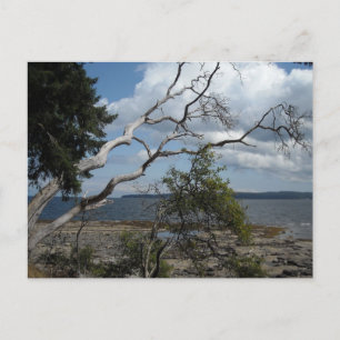 Cartão Postal Vista do Oceano