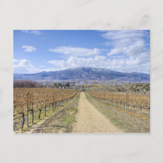 Cartão Postal Vista do Vineyard de Osoyoos