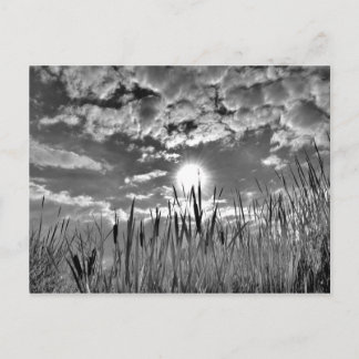 Cartão Postal Vista dos Olhos do Pato