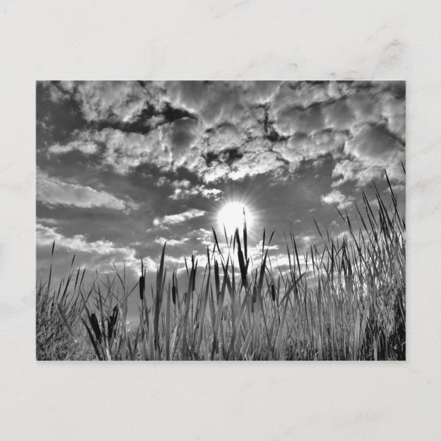 Cartão Postal Vista dos Olhos do Pato (Frente)