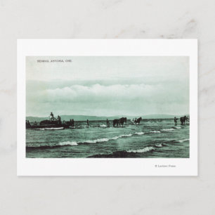 Cartão Postal Vista dos pescadores que pescam cerco, carruagens