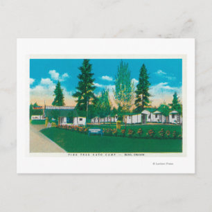 Cartão Postal Vista Exterior do Campo Automático da Árvore do
