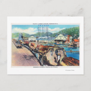 Cartão Postal Vista Exterior do Pacific Lumber Co, Sequoia