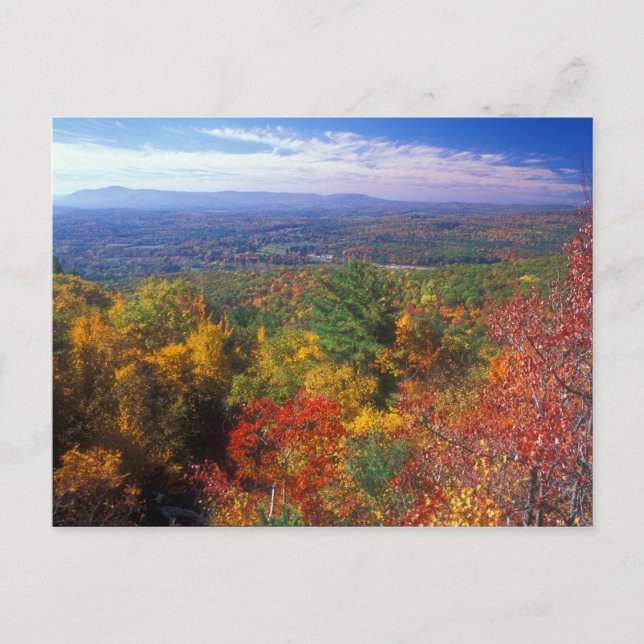 Cartão Postal Vista Foliage Monument Mountain (Frente)