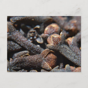 Cartão Postal Vista Macro Detalhada da Erva de Cravo