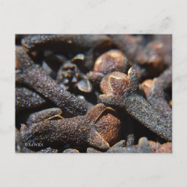 Cartão Postal Vista Macro Detalhada de Erva de Cravo