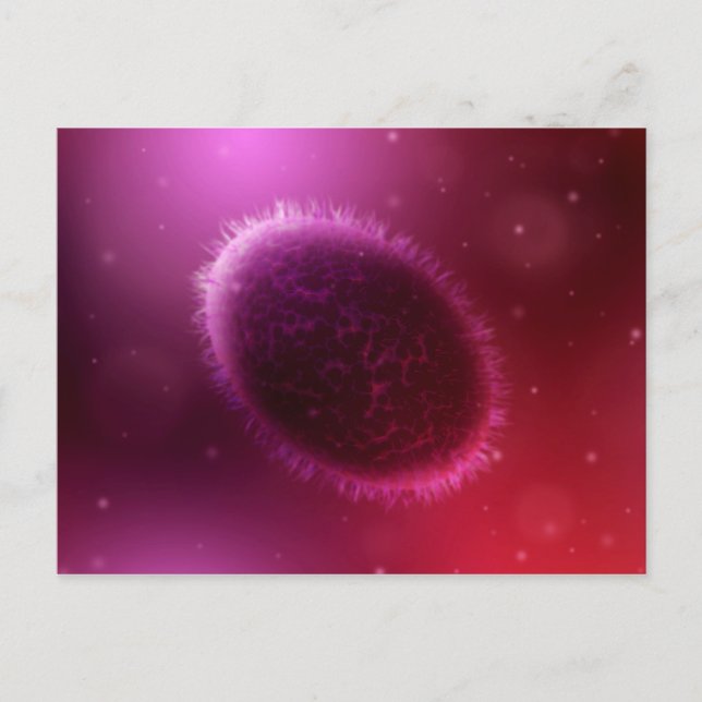 Cartão Postal Vista Microscópica Da Samllpox 1 (Frente)