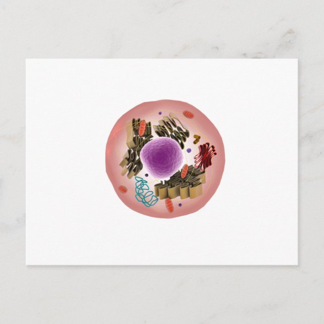 Cartão Postal Vista Microscópica Das Células Animais 1 (Frente)