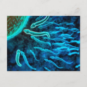 Cartão Postal Vista Microscópica De Esperma Nadando Em Direçã
