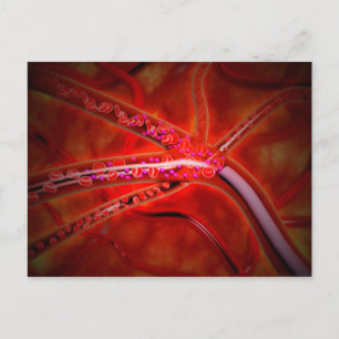 Cartão Postal Vista Microscópica de Medicamento Sendo Injetado