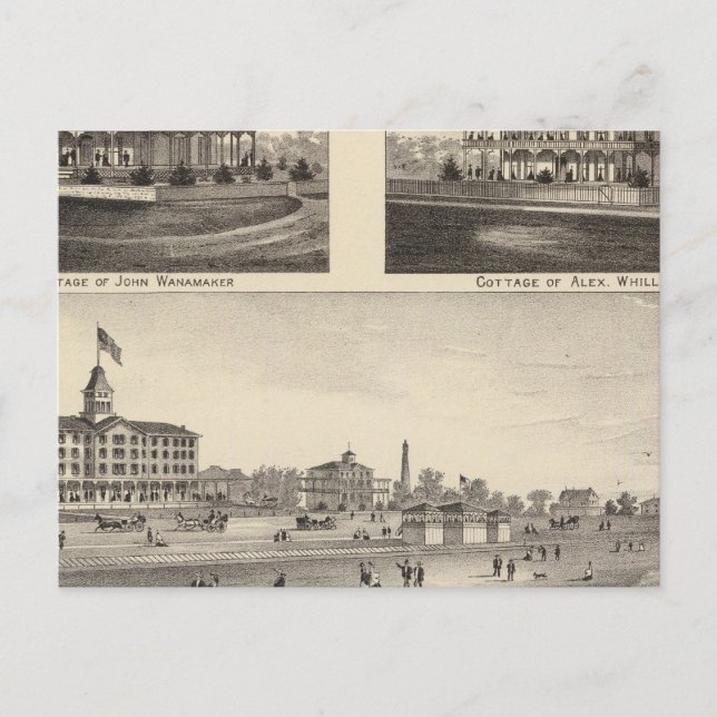 Cartão Postal Vista no Mar Grove, Cabo May Point (Frente)