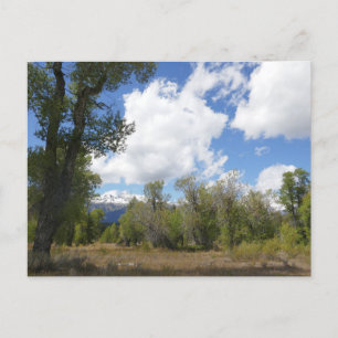 Cartão Postal Vista Sunny de Grand Teton Mountain