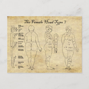 Cartão Postal Vistas da Cabeça Feminina Tipo 7