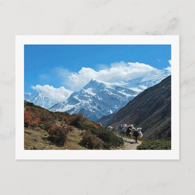 Cartão Postal Vistas de Nepal na maneira a MONTE EVEREST (Frente)