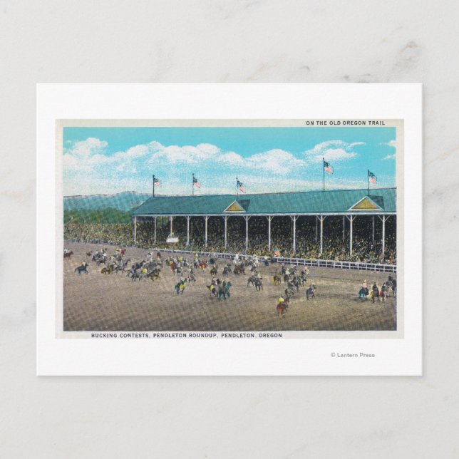 Cartão Postal Visualização dos Conflitos de Corte (Frente)