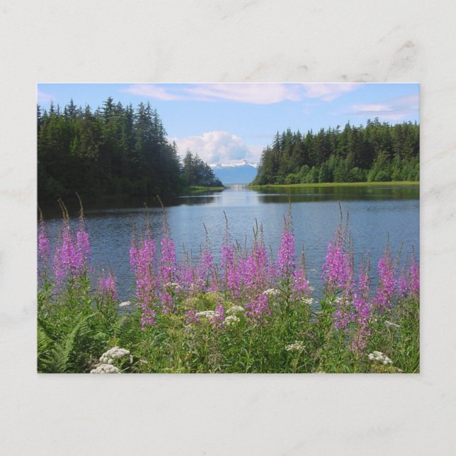 Cartão Postal Visualizações de amálgá (Frente)