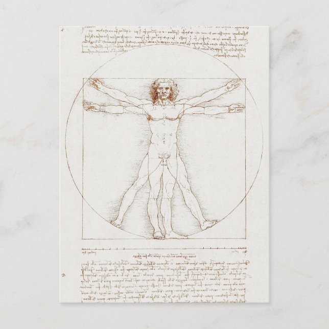 Cartão Postal Vitruvian Man Da Vinci (Frente)
