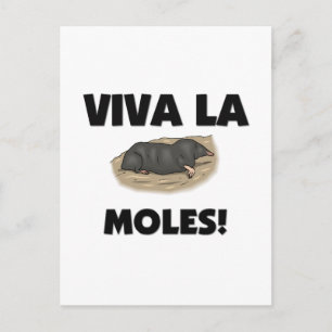 Cartão Postal Viva La Moles