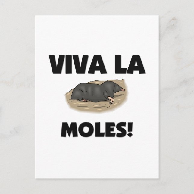 Cartão Postal Viva La Moles (Frente)