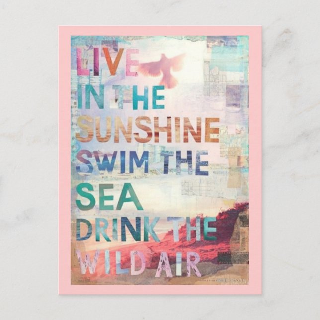 Cartão Postal Viva na luz do sol (Frente)