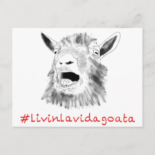 Cartão Postal Vivendo a Vida Cabrita Desenho de Cabra Gritando D