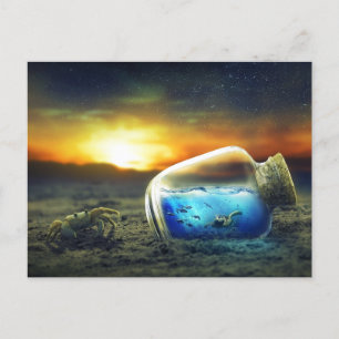 Cartão Postal Vivid Sunset Beach Crab/Sea Life in Botbol Surreal