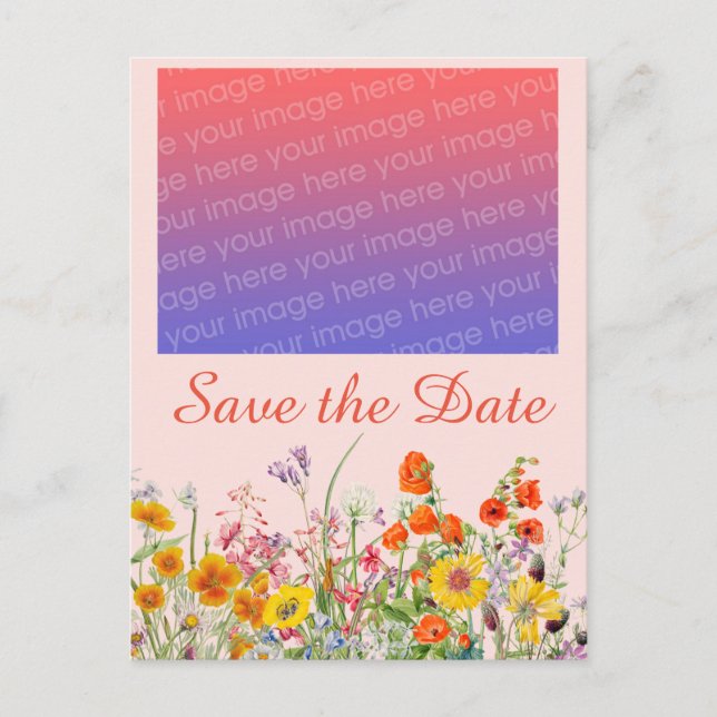 Cartão Postal Vívidas Flores Silvestres (Frente)