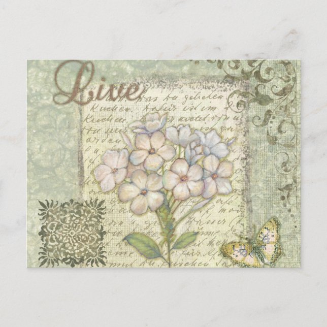 Cartão Postal Vivo (Frente)