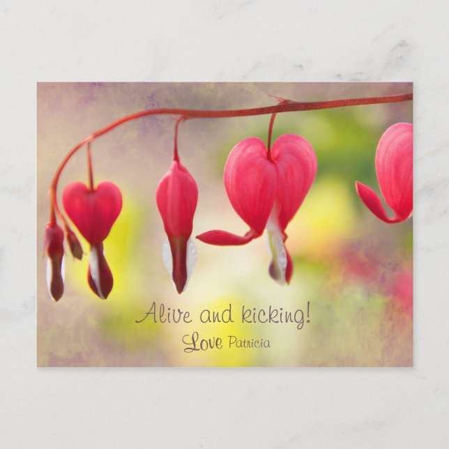 Cartão Postal Vivo e chutando! Com amor, Patrícia (Frente)