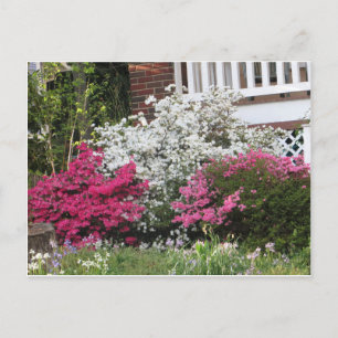 Cartão Postal Vizinhança com Azaleas