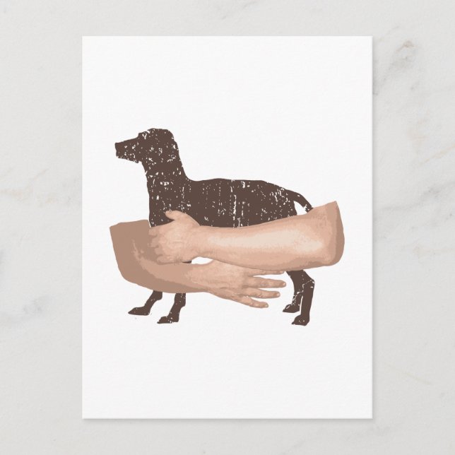 Cartão Postal Vizsla (Frente)