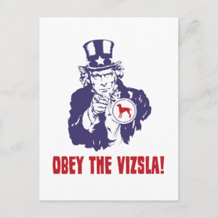 Cartão Postal Vizsla